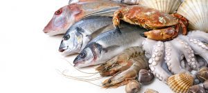 صادرات محصولات دریایی