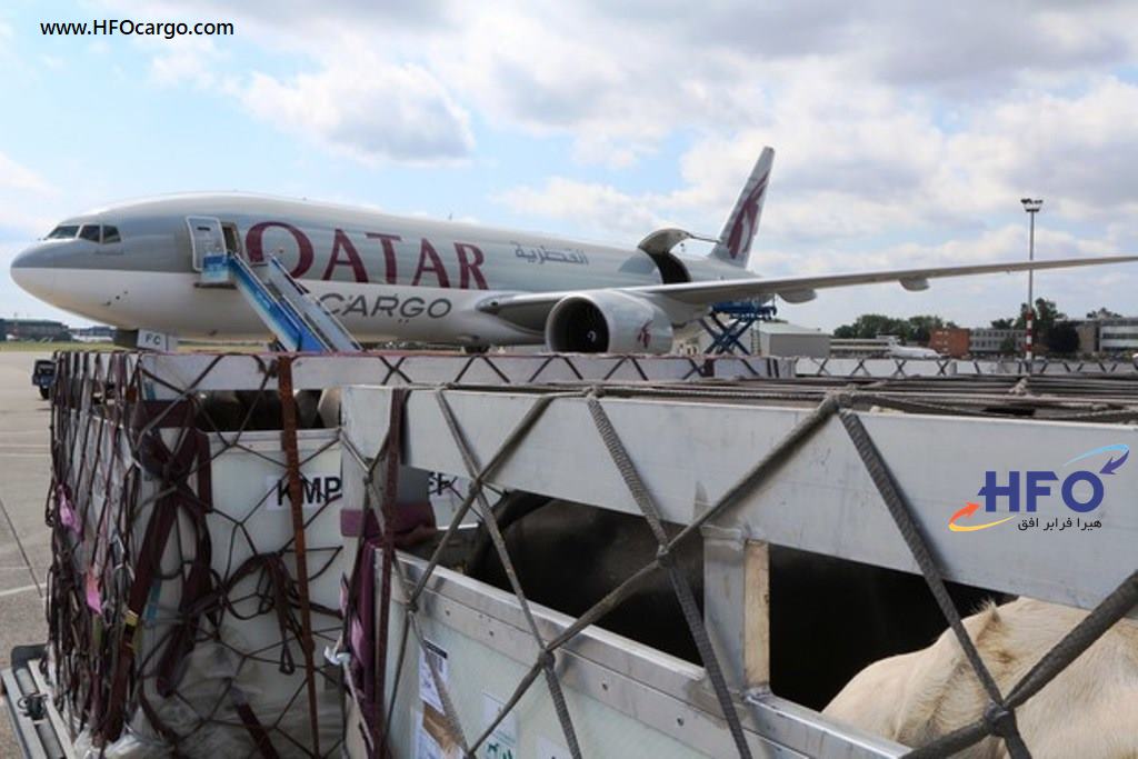 فریت بار هواپیمایی قطر